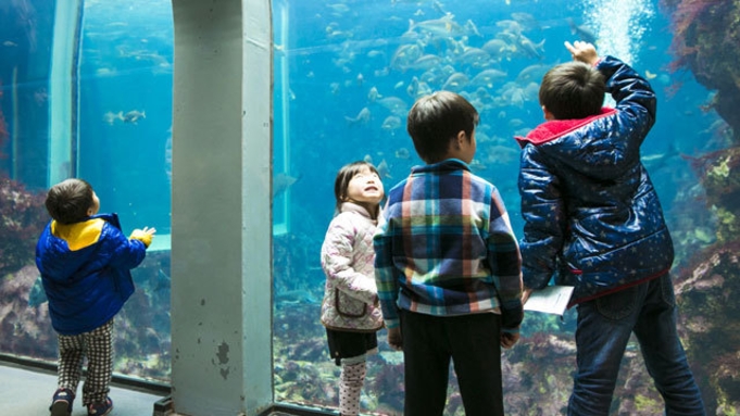 【チケット分無料】下田海中水族館入館チケット付きファミリープラン　2024.4/1〜7/9